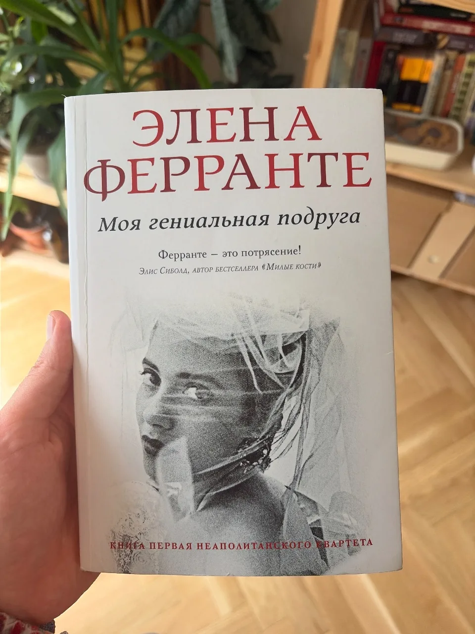 Моя гениальная подруга (Книга 1 из цикла «Неаполитанский квартет»)